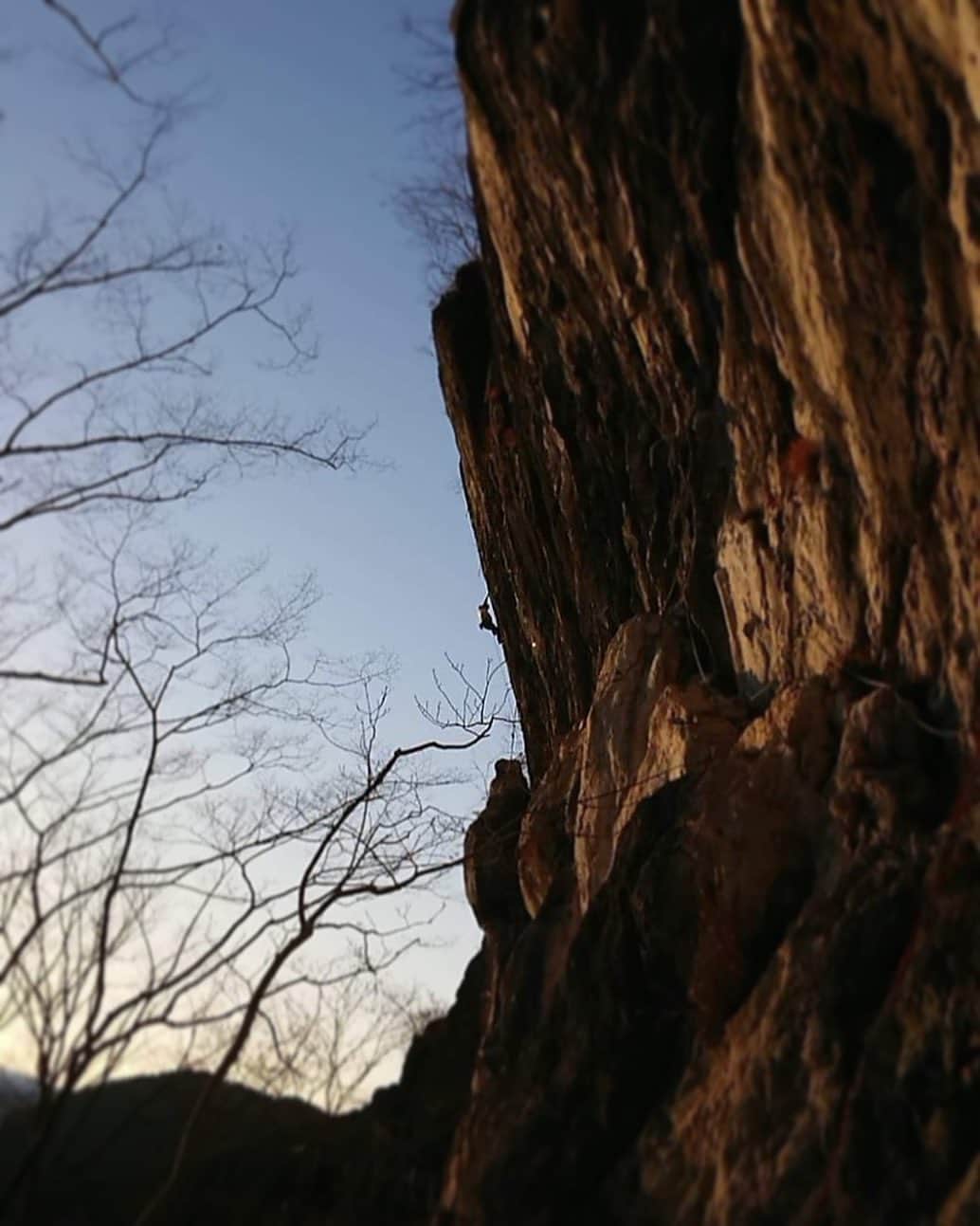 小武芽生のインスタグラム：「🦶踵ほぼ復活してから🦶 Firmament 5.14a✅  二子山弓状の二段岸壁にある数年前に　@shintaozawa さんが開拓した弓状では1番新しいルート。  ボルダーができなかったから強度の高いルートを登りたくてトライした。 リーチーなところが難しいけど、こういうときは身長低いお陰で逆にできたとき楽しさ増し増で得してる。笑  @thenorthfacejp @lasportivajp @raffinee_orientalbio #sskfoods #climbing #クライミング @oganoclimbing  #小鹿野町 #二子山」
