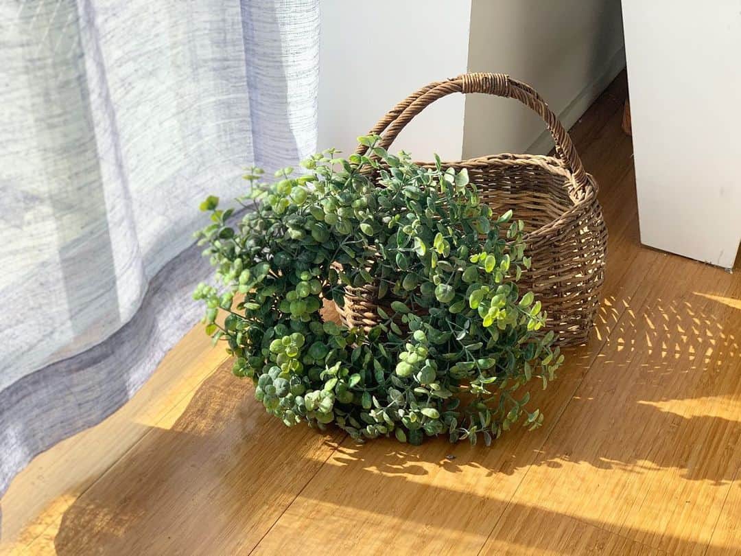 salut!のインスタグラム：「newitem  おすすめのフェイクグリーン！ リーフリースは壁にかけたり、バスケットと合わせて飾ったりひとつだけでも存在感出ますよ*.+ﾟ  ・リーフリース ¥1650(taxin)  他にも多数新商品が入荷しております。 是非公式通販サイトからご覧くださいませ𓂃⚑  公式通販サイトは @salut_shop  トップページURLよりご確認くださいませ⋆*  ※店舗により在庫数が異なります。 ご来店の前にお近くの店舗までご確認くださいますようお願い致します。  #サリュ #salut #まいにちインテリア  #リース #リーフ #リーフリース  #プチプラ #プチプラ雑貨 #プチプラインテリア #プチプラ小物 #プチプラ通販  #インテリア雑貨 #インテリア小物 #インテリア  #ナチュラルな暮らし #ナチュラルインテリア #ナチュラルコーデ #ナチュラル　#smileispower_p」