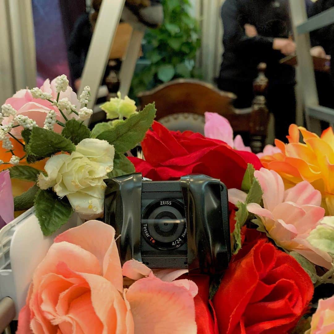 武井玲奈さんのインスタグラム写真 - (武井玲奈Instagram)「. . 昨日はカメラ10台以上の 久しぶりの大規模撮影でした その中の私を写してくれてた ワンショット用カメラ💃 花の中にひっそり隠れてます(笑) . また情報解禁になり次第 ご連絡させてください♡♡ . . #camera #shooting #rose #🥀」2月11日 12時51分 - takeirena