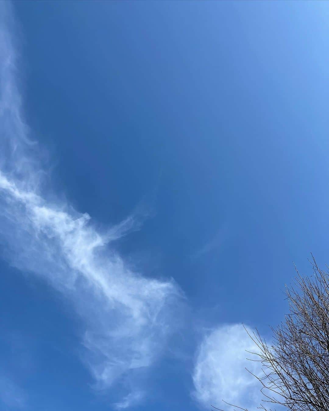 石川亜沙美のインスタグラム：「晴天☀️ ・ 気持ちいい〜✨✨ 太陽の光に 今日も感謝🙏😊 ・ ・ #2021.2.11 #青空 #bluesky  #見上げた空 #nonfilter  #東京 #テクテク散歩 #🚶‍♀️」