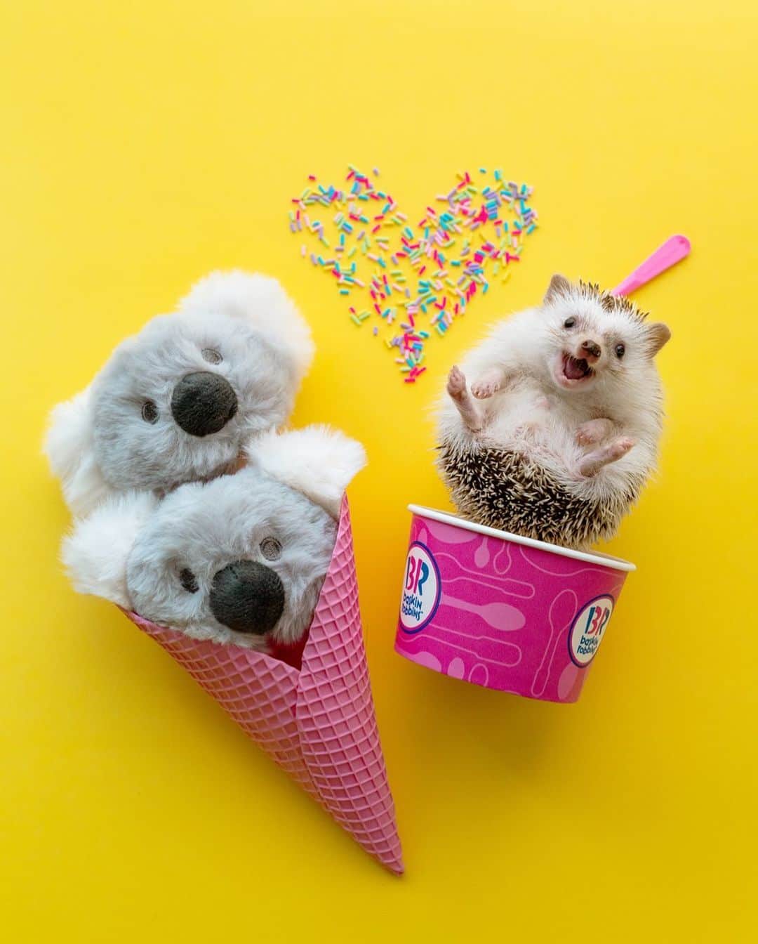 のインスタグラム：「Ice Cream Lovers🍨💖✨  塚本は雪見だいふくにハマり中😋🤣」
