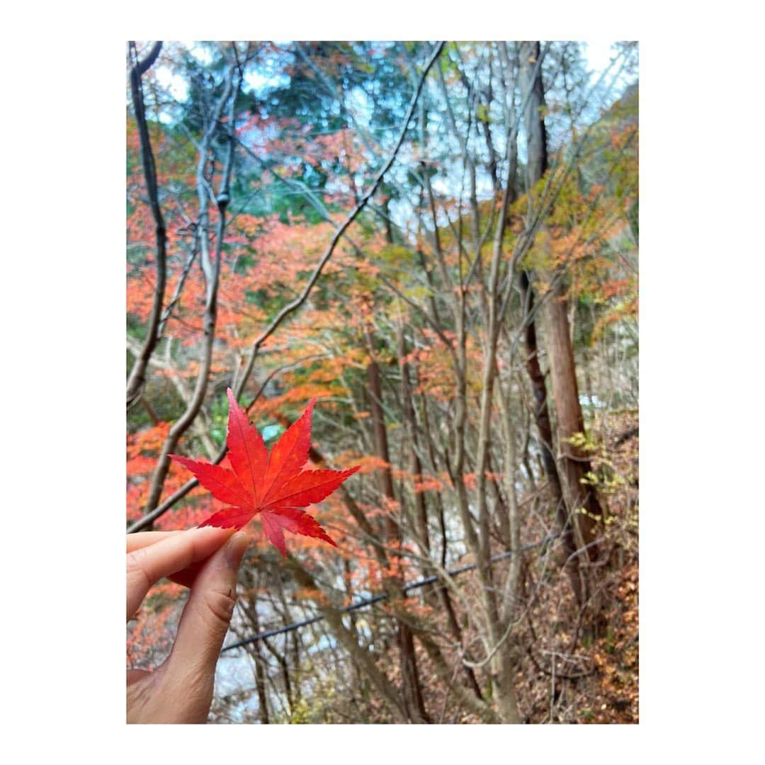 髙田知里のインスタグラム：「ハイキング ・ もうすぐ春になるけど、紅葉🍁 ・  #紅葉#ハイキング#クラブハウス#すきなこと #遊ぶ #お出掛け#赤#ガナーダ#春」