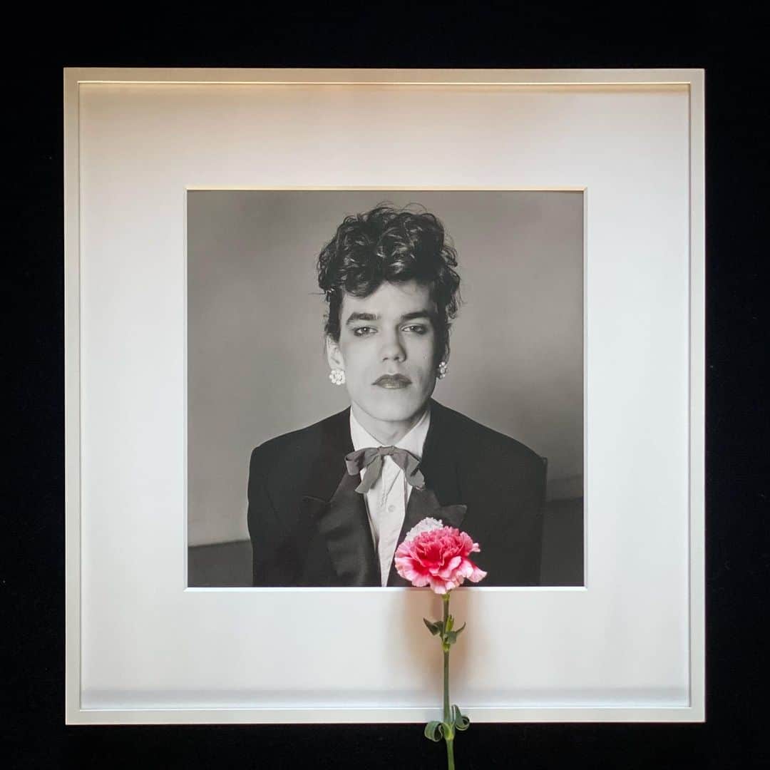 クリスヴァンアッシュのインスタグラム：「PETER HUJAR AND A PINK CARNATION  #peterhujar #flowers  #krisvanassche」