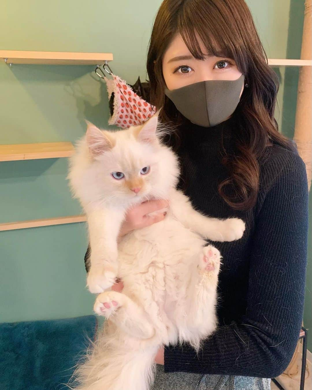 坂口莉果子のインスタグラム：「🐈とカピバラ癒された😻 カピバラが毛を逆立ててる時は心地よく感じている時だそうです☺️ ・ ・ ・ #japan #tokyo #cat #animals #cafe #catcafe #capybara #kichijoji #kichijojicafe #日本 #東京 #東京カフェ #猫 #猫カフェ #カピバラ #動物 #マスク #マスクメイク #マスク生活」