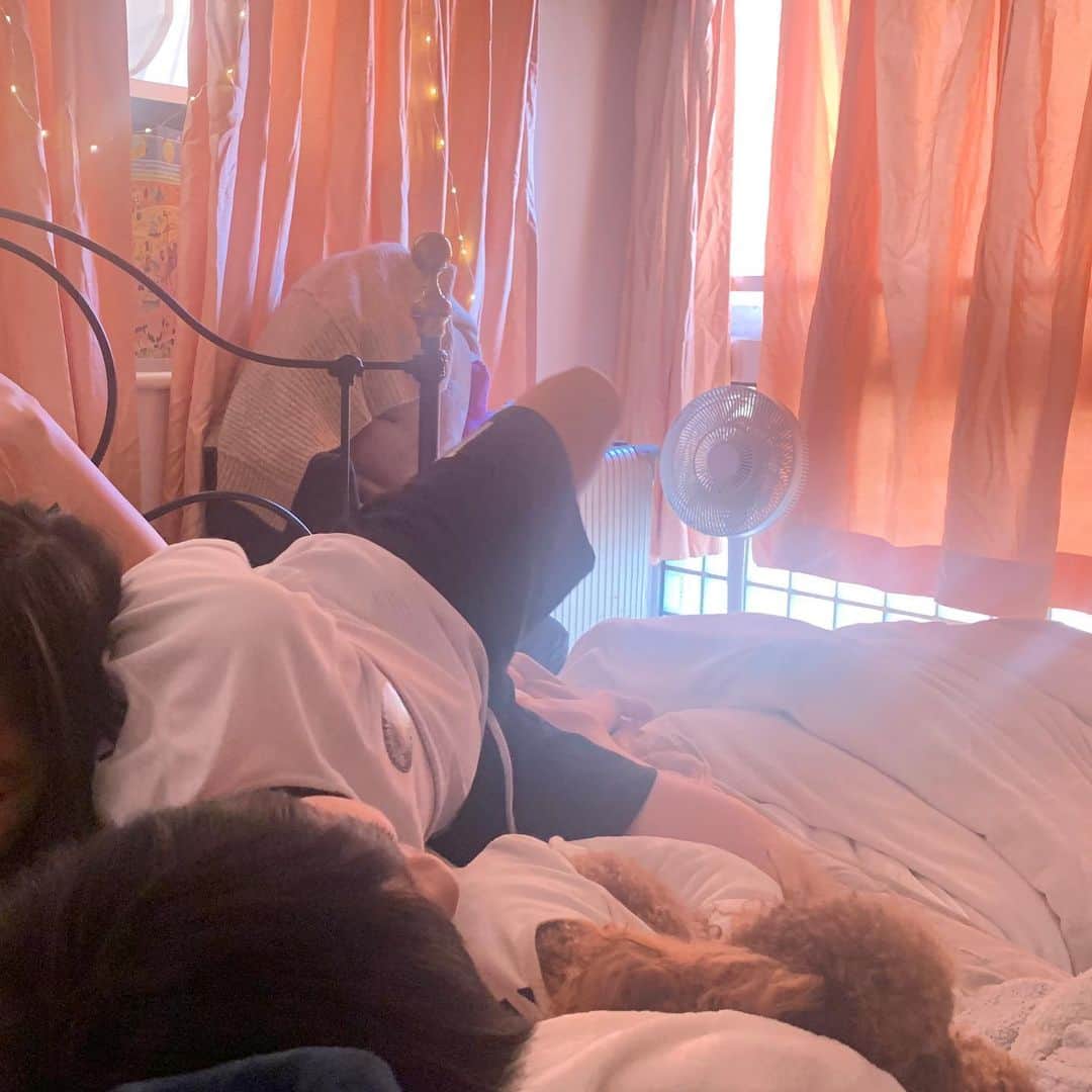 LiLyのインスタグラム：「快晴♡祝日。 お腹の上に 大切な3名。 my view now👀  #BEDらぶ #👦👧🐶 #nofilterの楽園 #寝室　 #育児　シーズン3」