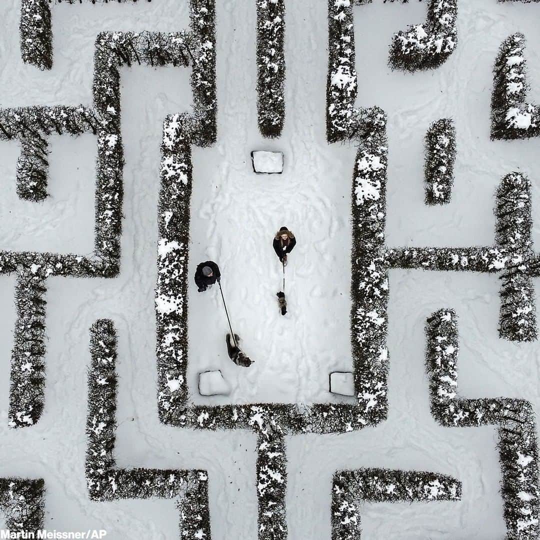 ABC Newsさんのインスタグラム写真 - (ABC NewsInstagram)「People walk their dogs in a snow-covered garden maze in Germany after a major winter storm hit parts of the country.」2月11日 15時21分 - abcnews