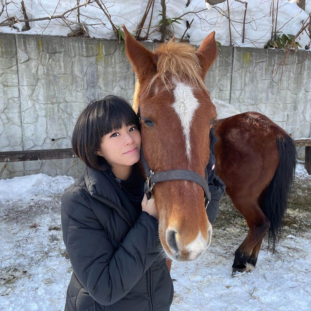 たまたまこのインスタグラム：「洞爺湖をスノートレッキング🐴☃️ 馬かわいい、、🐴💞」