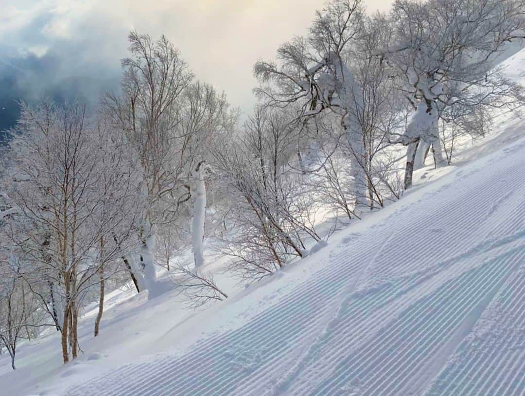 星野リゾート　トマムさんのインスタグラム写真 - (星野リゾート　トマムInstagram)「Yesterday and today’s Hoshino Resorts TOMAMU   絶好の滑走コンディションが続いている、星野リゾート　トマム スキー場より、素敵な写真が届いたので投稿でもシェアします✨  昨日は、ゲレンデが一面パウダースノー。前日の滑走痕もリセットされ、圧雪コースも非圧雪コースも、心地よい日差しのもと滑走が楽しめる最高の1日となりました。本日も、ここ数日の降雪で雪質は軽く、朝は風もなく、とてもよいゲレンデの状態です🏂⛷✨  #HoshinoResorts #星野リゾート #tomamu #hoshinoresortstomamu #星野リゾートトマム #トマム #risonaretomamu #リゾナーレトマム #risonare #リゾナーレ #北海道旅行 #星野集團 #Hokkaidotrip #霧氷テラス　#terraceoffrosttree」2月11日 15時33分 - hoshinoresorts_tomamu