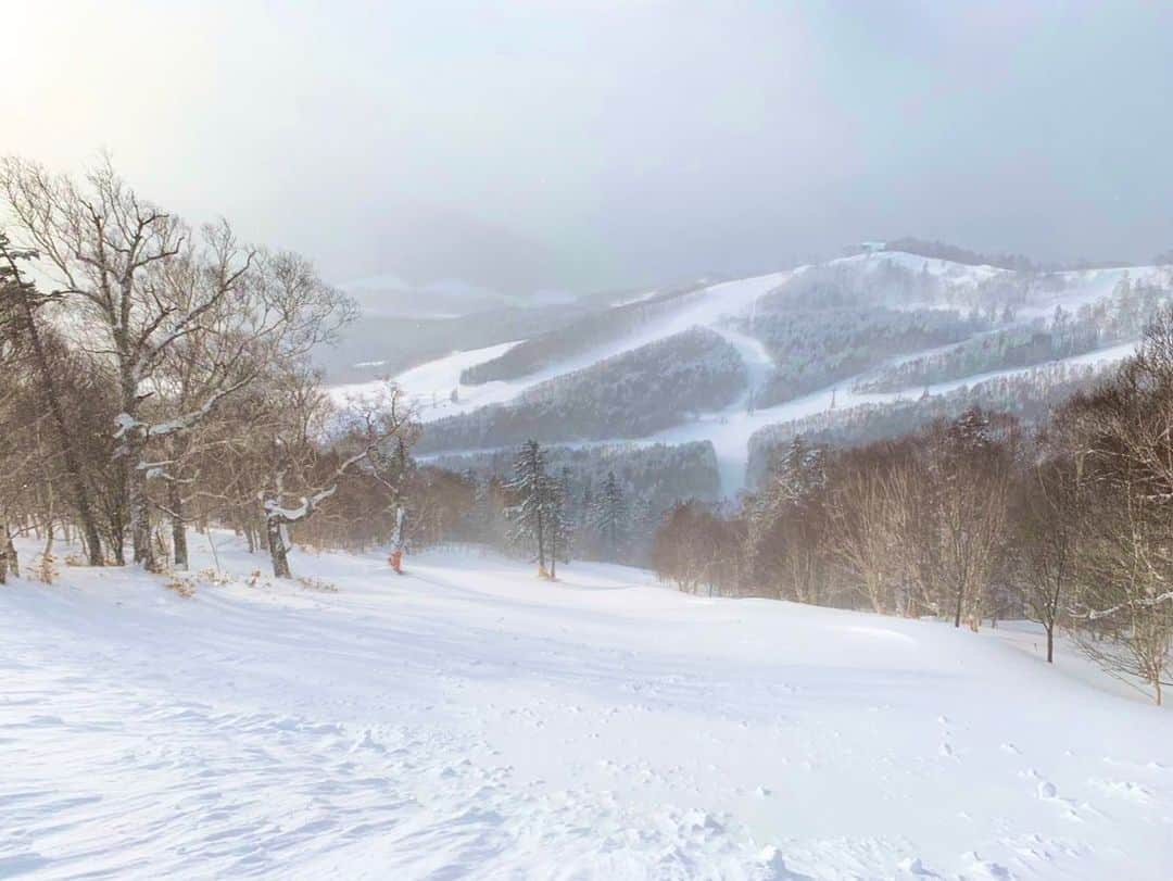 星野リゾート　トマムさんのインスタグラム写真 - (星野リゾート　トマムInstagram)「Yesterday and today’s Hoshino Resorts TOMAMU   絶好の滑走コンディションが続いている、星野リゾート　トマム スキー場より、素敵な写真が届いたので投稿でもシェアします✨  昨日は、ゲレンデが一面パウダースノー。前日の滑走痕もリセットされ、圧雪コースも非圧雪コースも、心地よい日差しのもと滑走が楽しめる最高の1日となりました。本日も、ここ数日の降雪で雪質は軽く、朝は風もなく、とてもよいゲレンデの状態です🏂⛷✨  #HoshinoResorts #星野リゾート #tomamu #hoshinoresortstomamu #星野リゾートトマム #トマム #risonaretomamu #リゾナーレトマム #risonare #リゾナーレ #北海道旅行 #星野集團 #Hokkaidotrip #霧氷テラス　#terraceoffrosttree」2月11日 15時33分 - hoshinoresorts_tomamu