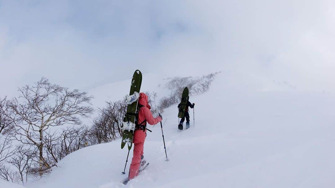 金子藍さんのインスタグラム写真 - (金子藍Instagram)「リーダーおさむさんに続け @osamu_usami  @kaorimayaguchi   初の山登りさせてくれてありがとう❤️ 素晴らしい経験に  #snowboarding #snow #北海道 #ニセコ #gentemstick #roxy #roxyjapan #osmoaction」2月11日 15時33分 - aikaneko_surf