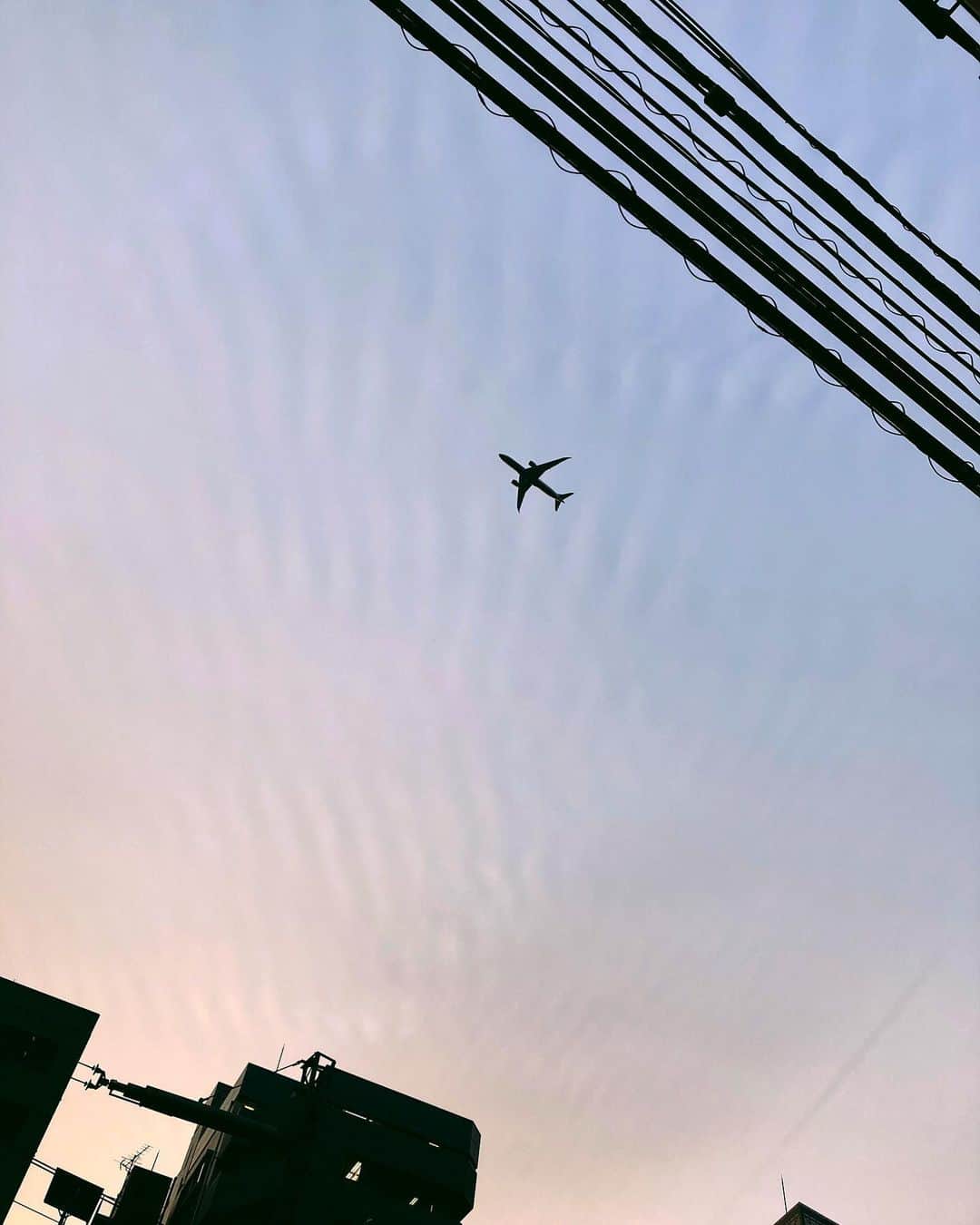 松田珠希のインスタグラム：「昨年から都心の上空を飛んでくれる飛行機たち。何でこんなに心を満たしてくれるんだろう。何色なのか必ず確認して、787ならなお幸せ。飛行機に乗りたいな。10時間くらい。 #飛行機　#都心上空　#aircraft #sky」