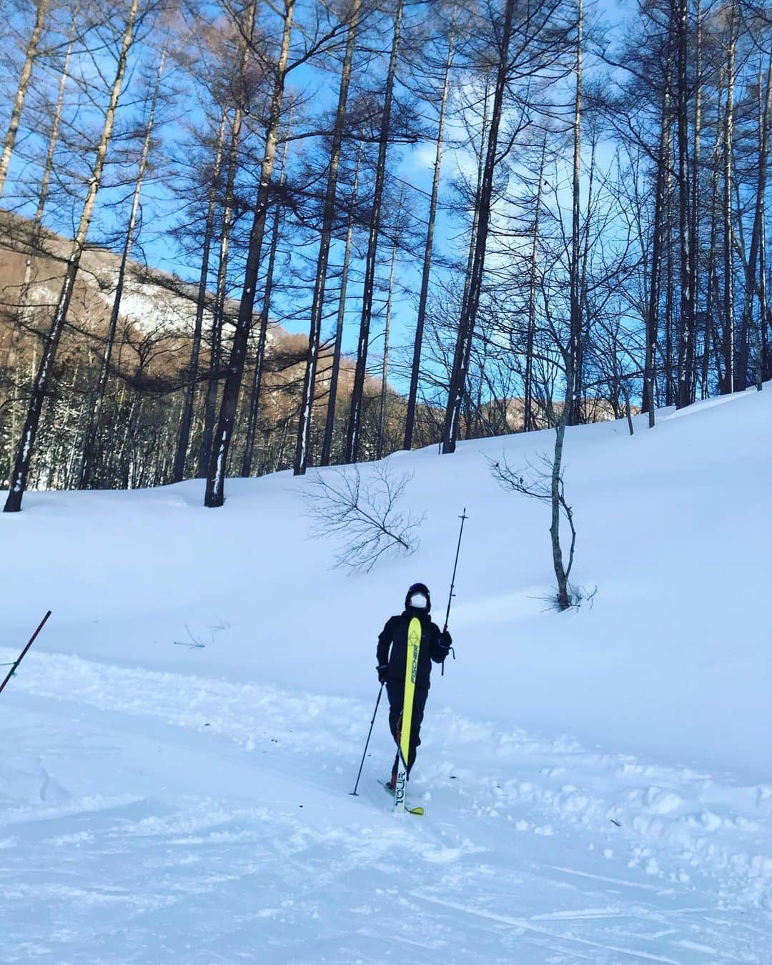 スネオヘアーさんのインスタグラム写真 - (スネオヘアーInstagram)「#スネオヘアー #スキー #宝台樹  こないだのスキーの写真より #ski #suneohair #みなかみ」2月11日 15時48分 - suneohairofficial