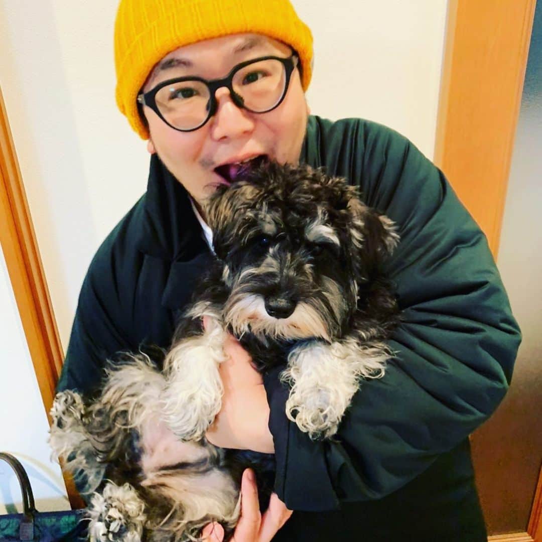 三浦崇宏さんのインスタグラム写真 - (三浦崇宏Instagram)「#dog #犬 #dogstagram  #インスタグラムといえばかわいい自分と聞いて」2月11日 16時02分 - takahiro3ura