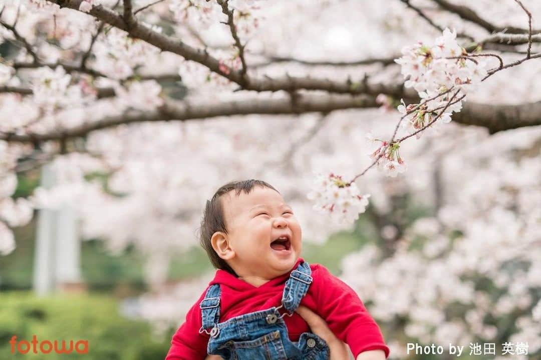otowa (フォトワ)さんのインスタグラム写真 - (otowa (フォトワ)Instagram)「春探しの旅𓆸 これからたくさんのお花が見頃です✍🏻  𓂃𓂁𓂃𓂁  梅の花：2〜3月 桜：2〜4月 菜の花：2〜5月 ミモザ：3月 桃の花：3〜4月 チューリップ：3〜5月 𓂃𓂁𓂃𓂁  ...  子ども・家族の出張撮影「fotowa（フォトワ）」📸 👉@fotowa.jp  平日：19,800円（税抜） 休日：23,800円（税抜）  -写真は全てデータでもらえる -指名料や出張料などの追加料金なし -レビューや写真から好みのカメラマンに依頼   感染予防にも配慮しながら撮影いたします。  ...  #fotowa #フォトワ   #出張撮影 #写真好き #写真好きな人と繋がりたい #写真好きな人と繋がりたい #成長記録 #家族写真 #ファミリーフォト #ロケーションフォト #子育て #子育てグラム #子育てぐらむ #子育て日記 #ママスタグラム #べびすたぐらむ #ベビスタグラム #子どものいる暮らし #入学写真 #卒園写真 #新一年生 #記念日フォト #卒業写真 #バースデーフォト」2月11日 16時12分 - fotowa.jp