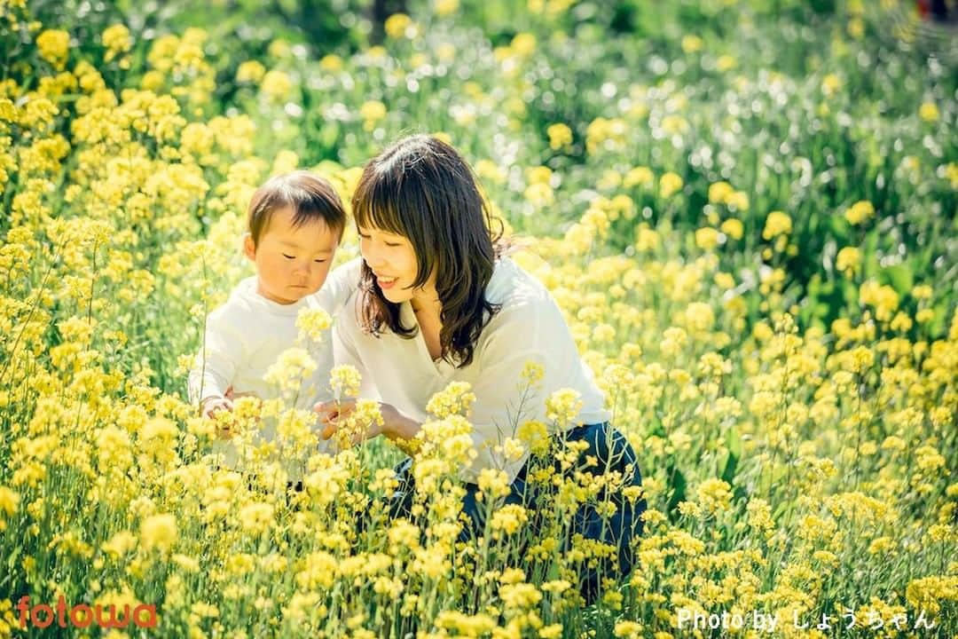 otowa (フォトワ)のインスタグラム