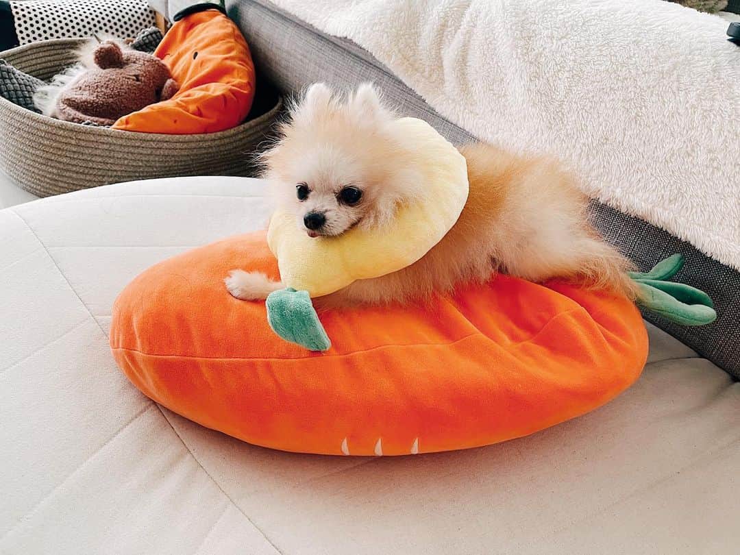 r_oseのインスタグラム：「Carrot rocket 🥕🍋〰️ #perfectbody」