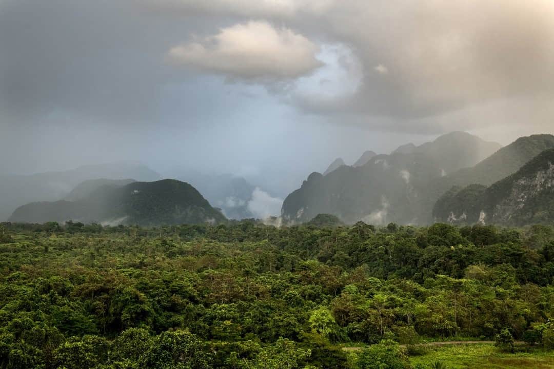 National Geographic Travelさんのインスタグラム写真 - (National Geographic TravelInstagram)「Photo by Robbie Shone @shonephoto / On the Malaysian island of Borneo, Gunung Mulu National Park is dominated by the sandstone mass of Mount Mulu. To the west—and what we see pictured here—lies a band of limestone, which forms the lesser peaks of Mount Api and Mount Benarat. These lower slopes are covered in dense tropical rainforest. Mount Api and Mount Benarat are riddled with giant cave systems that include some of the largest caves ever discovered. In the early evening on most days, a giant rainstorm passes through Mulu and completely soaks everything. It is this rain that has helped sculpt the enormous caverns below.」2月11日 16時39分 - natgeotravel