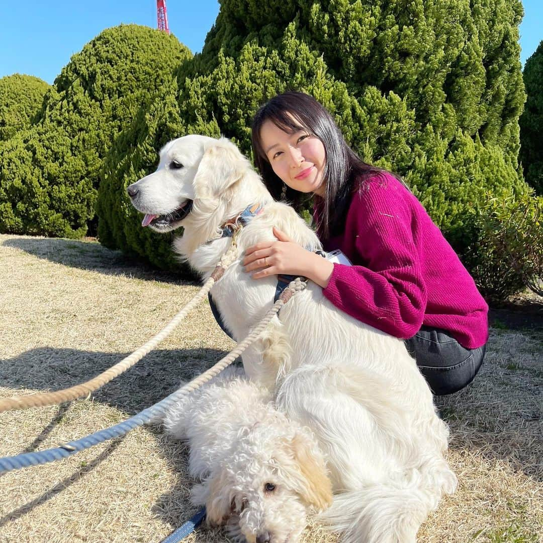 岩間恵さんのインスタグラム写真 - (岩間恵Instagram)「可愛いわんこと触れ合い🐶💓  いつもインスタ見て可愛いなぁと思っていた むうさん&めるくんと遊ばせてもらいました💓  もう可愛すぎてめろめろ... また絶対遊ぶ...🤤❤️ @muuuuuu72   夫の作ったサイト @eternal_._family で こんな出会いもあって、とても嬉しいです😆💓」2月11日 16時51分 - iwamame