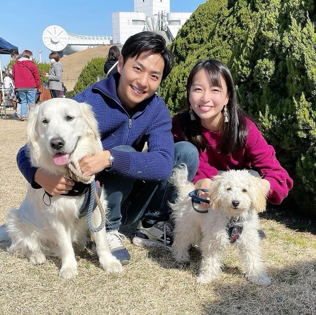 岩間恵のインスタグラム：「可愛いわんこと触れ合い🐶💓  いつもインスタ見て可愛いなぁと思っていた むうさん&めるくんと遊ばせてもらいました💓  もう可愛すぎてめろめろ... また絶対遊ぶ...🤤❤️ @muuuuuu72   夫の作ったサイト @eternal_._family で こんな出会いもあって、とても嬉しいです😆💓」