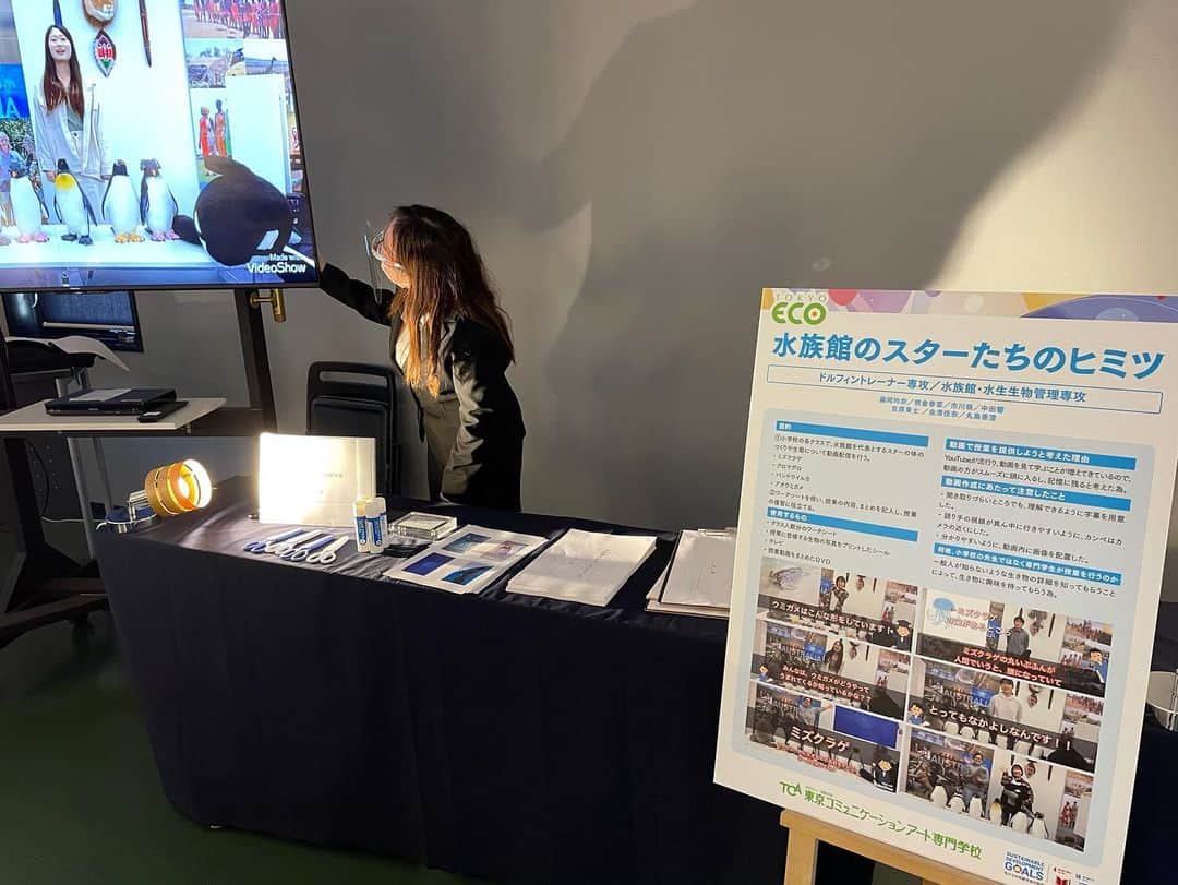【公式】東京コミュニケーションアート専門学校ECOさんのインスタグラム写真 - (【公式】東京コミュニケーションアート専門学校ECOInstagram)「.﻿ ﻿ 卒業・進級制作発表会﻿ 『we are TCA ECO 2021』の様子を﻿ ご紹介します💁🏻‍♀️﻿ ﻿ 第１校舎５階﻿ 海洋ワールド🐠﻿ 地域貢献プロジェクト﻿ ﻿ 実際に行った活動の記録が﻿ 展示されていました📝﻿ ﻿ ﻿ ・－・－・－・－・－・－・－・－・﻿ ﻿ 学校説明会やオープンキャンパスも実施しております🏫﻿ ぜひご参加ください🗣﻿ ﻿ ・－・－・－・－・－・－・－・－・﻿ ﻿ #tca東京eco動物海洋専門学校 #tcaeco #動物 #海洋 #ペット#自然環境#恐竜#専門学校#卒業進級制作発表会#卒業制作#進級制作#発表会#発表#wearetcaeco#wearetca#weare#オープンキャンパス#oc#海洋#ドルフィントレーナー専攻#ドルフィントレーナー#水族館アクアリスト専攻#水族館アクアリスト#水族館#アクアリスト#水族館水生生物管理専攻#水生#生物#魚 #進路」2月11日 16時53分 - tca_eco