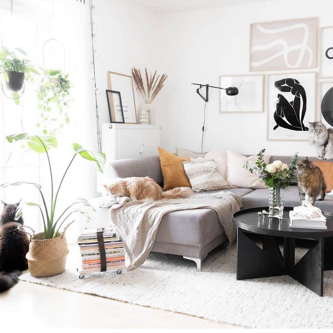 My Interiorのインスタグラム：「Good morning from Germany 🇩🇪 from the home of @vena_an」