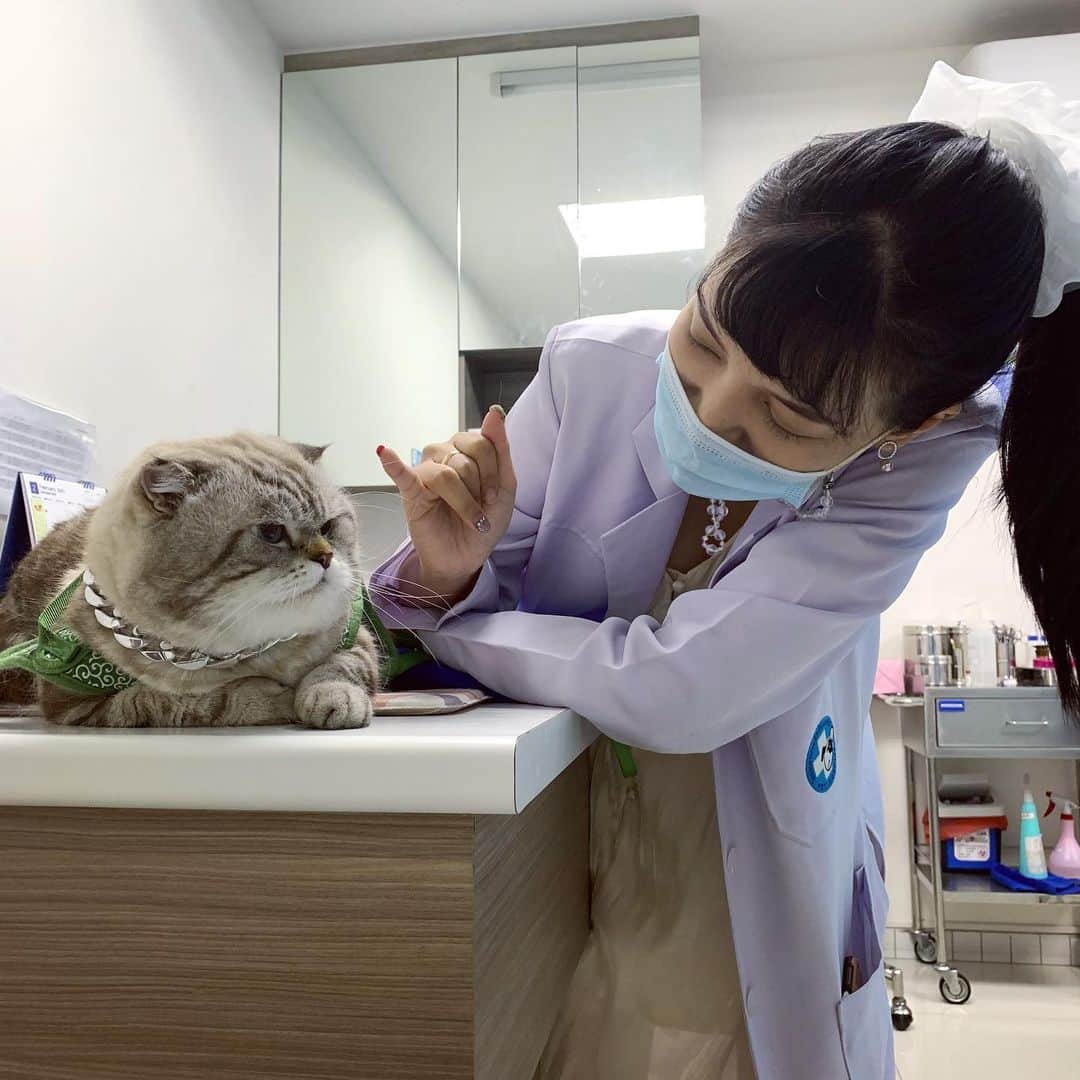 Chepoのインスタグラム：「บอกฉีดยา2เข็มไม่เจ็บแปบเดียว เออไม่เจ็บแปบเดียว แต่กูปวดนานไง ไม่ต้องมาดีเลยนุษหมอ หลอกกันได้」