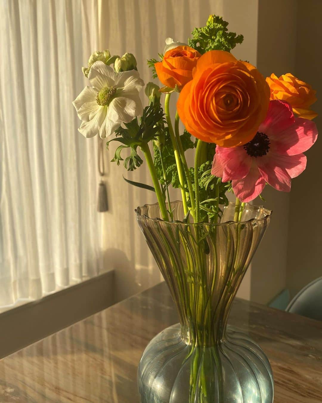 梯真奈美さんのインスタグラム写真 - (梯真奈美Instagram)「季節のお花をダイニングテーブルに。 元気がもらえる鮮やかな色🕊  かわいいなぁ☺️  #お花 #おうち」2月11日 17時25分 - official_manami