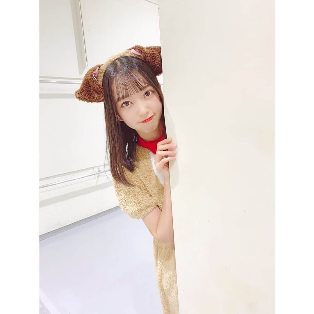 石田みなみさんのインスタグラム写真 - (石田みなみInstagram)「ひょっこり、、🐶🦴﻿ ﻿ 今日のお話し会は﻿ わんこになりました🐾﻿ ﻿ #STU48 #charmingtrip #idol #アイドル﻿ #Stucharmingtrip #石田みなみ　﻿ #コスプレ #コスプレ女子  #犬 #いぬ #わんこ #🐶 #🦴」2月11日 17時40分 - ishida.minami_373