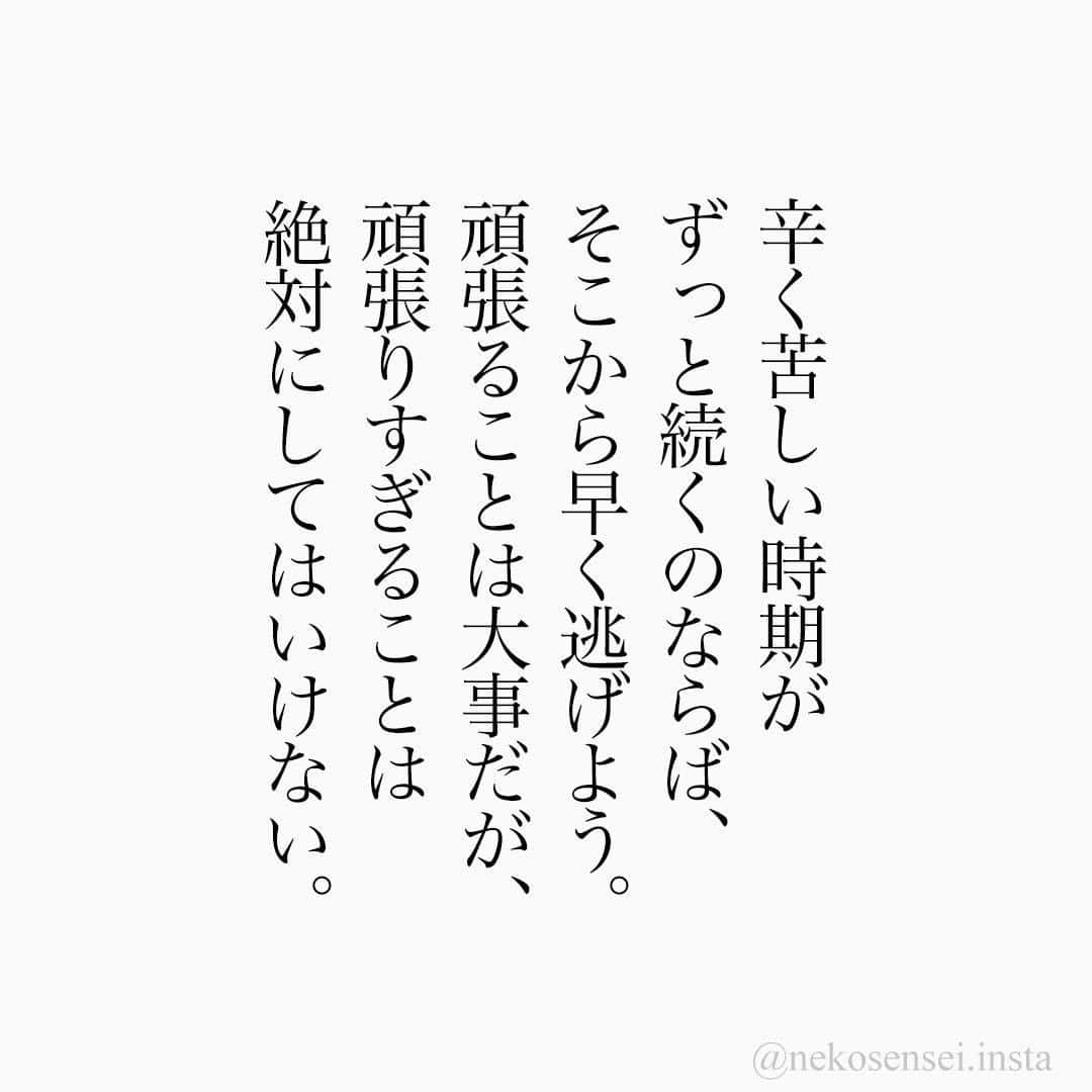 ユメネコ@哲学者さんのインスタグラム写真 - (ユメネコ@哲学者Instagram)「. #言葉 #ことば #言霊 #言葉の力 #自己啓発 #人生 #生き方 #生きる  #悩み #相談 #心 #こころ #名言 #格言 #今日の格言  #心理 #メッセージ #エッセイ #哲学 #苦しい #会社辞めたい #辞めたい」2月11日 18時00分 - nekosensei.insta