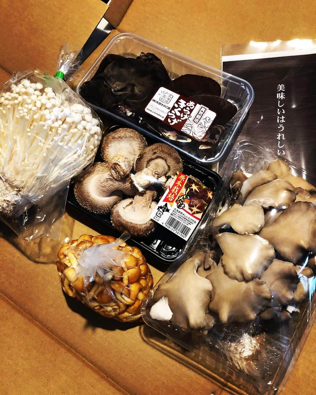 michi のインスタグラム：「昔の戦友から、朝採りキノコが届きました🍄感動🥲まや、ありがとう😭  #きのこ #朝どれ  #美味しいプレゼント　#きのこ好き」