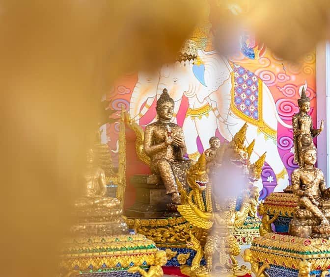 タイ国政府観光庁さんのインスタグラム写真 - (タイ国政府観光庁Instagram)「・﻿ ／﻿ 🇹🇭タイの秘境を巡る旅へ✈️﻿ まだ知られていないタイはここ❗﻿ ＼﻿ ﻿ 毎週木曜日は、まだまだ日本では知られていないタイの秘境スポットをご紹介🤫✨﻿ ﻿ 今回は、バンコクから西方約100kmに位置する、ラーチャブリー県の寺院「ワット・パープッターラーム」へ🏃💨﻿ ﻿ ワット・パープッターラームは、洞窟内の花崗岩に仏像が刻まれているという、珍しい寺院💁‍♀️この造立手法は、世界でもラーチャブリー県とスリランカの２カ所だけとされています👏﻿ ﻿ 参拝すると、天国、地上、地獄の３つの世界に近づけるとされており、願い事に合わせてさまざまな参拝方法が🙏別名「タム・サティ」とも呼ばれ、バンコクからは車でおよそ２時間です🚗﻿ ﻿ #タイ #ラーチャブリー #ワットパープッターラーム #タイ寺院 #仏像 #お寺巡り #お寺好きな人と繋がりたい #パワースポット #花崗岩 #秘境 #こんなタイ知らなかった #もっと知りタイ #タイ旅行 #ラーチャブリー旅行 #旅好きな人と繋がりたい #旅行好きな人と繋がりたい #海外旅行 #thailand #ratchaburi #ratchaburitrip #watpaphuttharam #thamsati #temple #thainess #amazingthailand #thailandtravel #thailandtrip #thai #thaistagram #lovethailand ﻿ ﻿ ﻿」2月11日 18時10分 - amazingthailandjp