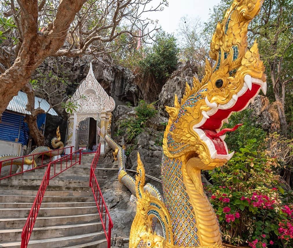 タイ国政府観光庁さんのインスタグラム写真 - (タイ国政府観光庁Instagram)「・﻿ ／﻿ 🇹🇭タイの秘境を巡る旅へ✈️﻿ まだ知られていないタイはここ❗﻿ ＼﻿ ﻿ 毎週木曜日は、まだまだ日本では知られていないタイの秘境スポットをご紹介🤫✨﻿ ﻿ 今回は、バンコクから西方約100kmに位置する、ラーチャブリー県の寺院「ワット・パープッターラーム」へ🏃💨﻿ ﻿ ワット・パープッターラームは、洞窟内の花崗岩に仏像が刻まれているという、珍しい寺院💁‍♀️この造立手法は、世界でもラーチャブリー県とスリランカの２カ所だけとされています👏﻿ ﻿ 参拝すると、天国、地上、地獄の３つの世界に近づけるとされており、願い事に合わせてさまざまな参拝方法が🙏別名「タム・サティ」とも呼ばれ、バンコクからは車でおよそ２時間です🚗﻿ ﻿ #タイ #ラーチャブリー #ワットパープッターラーム #タイ寺院 #仏像 #お寺巡り #お寺好きな人と繋がりたい #パワースポット #花崗岩 #秘境 #こんなタイ知らなかった #もっと知りタイ #タイ旅行 #ラーチャブリー旅行 #旅好きな人と繋がりたい #旅行好きな人と繋がりたい #海外旅行 #thailand #ratchaburi #ratchaburitrip #watpaphuttharam #thamsati #temple #thainess #amazingthailand #thailandtravel #thailandtrip #thai #thaistagram #lovethailand ﻿ ﻿ ﻿」2月11日 18時10分 - amazingthailandjp