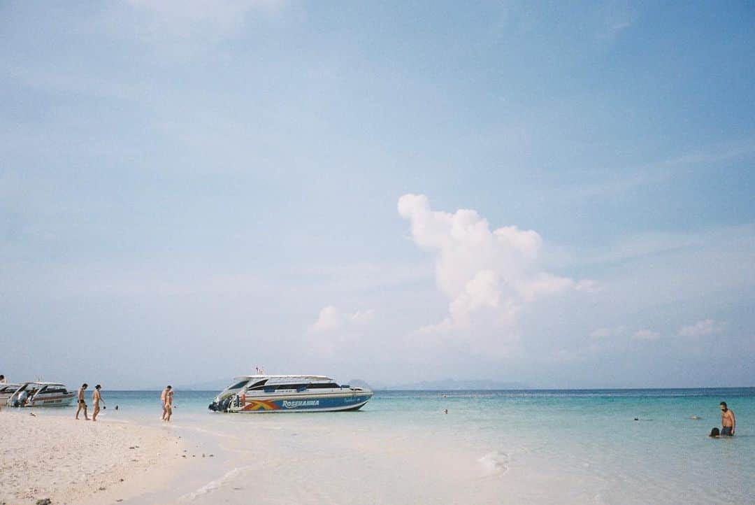 末原玲衣さんのインスタグラム写真 - (末原玲衣Instagram)「ああぁ綺麗な海を見に行きたい...🐠﻿ ﻿ ﻿ #そうは思いませんか」2月11日 18時11分 - reis_1024