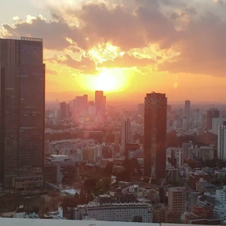 インゴのインスタグラム