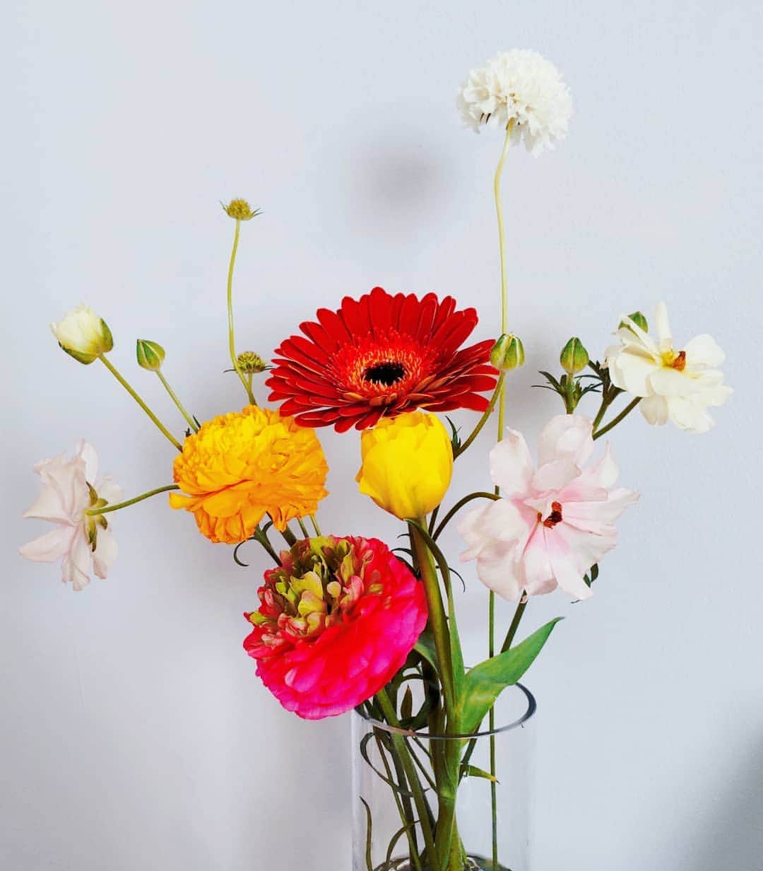 吉井怜さんのインスタグラム写真 - (吉井怜Instagram)「チューリップ１本をベースに 長い花瓶が似合いそうな背の高い花たちをチョイス🥀」2月11日 18時25分 - rei_yoshii