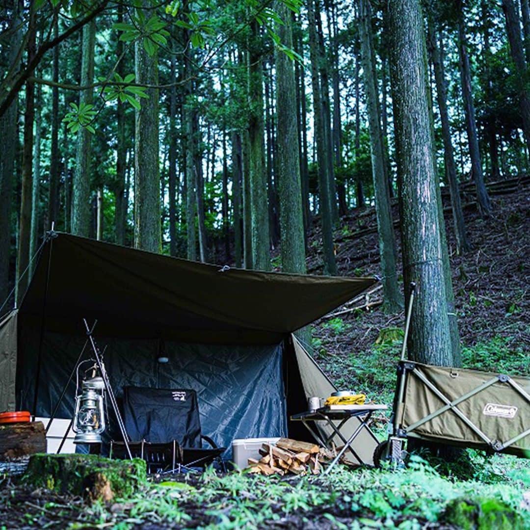 キャンプ情報サイト［ランタン］さんのインスタグラム写真 - (キャンプ情報サイト［ランタン］Instagram)「CAMP SMILE STYLE ／ 自然にマッチする整理整頓されたソロキャンプサイト 焚き火も準備万端 ＼ いろんなキャンパーのキャンプスタイルを現地取材と一般キャンパーからの投稿で数多く掲載してます。 . . 詳しくは @lantern.camp webサイトをご覧ください . . #camp #camping #outdoor #travel #trip #lantern_smile #nature #キャンプ #キャンプ用品 #キャンプギア #アウトドア #テント #自然 #旅行 #キャンプ初心者  #キャンプ好きな人と繋がりたい #camper #外遊び #LANTERN #キャンプレイアウト #秋キャンプ #冬キャンプ #マキノ高原キャンプ場 #ベルモント #焚き火台 #かぶとの森テラスキャンプ場 #ユニフレーム #コールマン #ソロキャンプ #ソロキャン」2月11日 18時44分 - lantern.camp