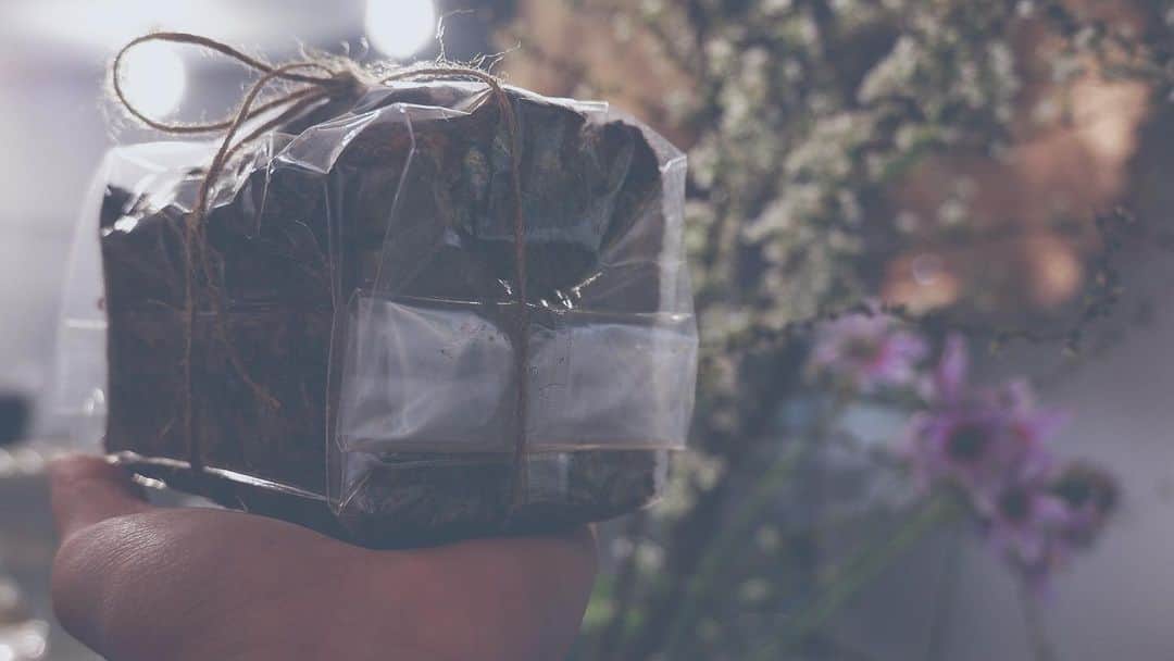 HeyCoffeeのグルメインスタ