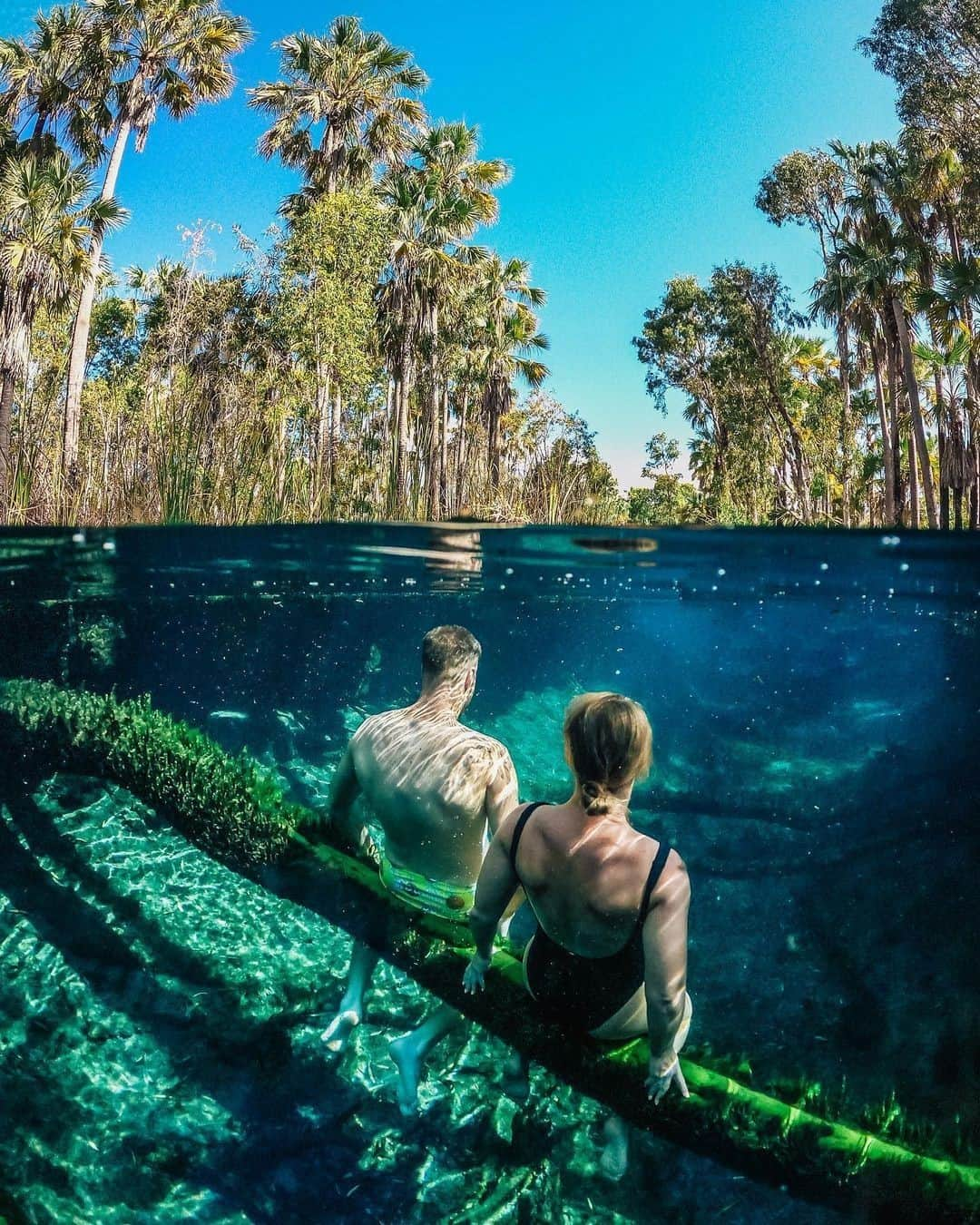 Australiaさんのインスタグラム写真 - (AustraliaInstagram)「Exploring the underwater world of #BitterSprings with @jonny.melon 💦 This incredible spot is located in the @tourismtopend's Elsey National Park, a four-hour drive from #Darwin. Set amongst palms and tropical woodlands, these spring-fed thermal pools (and the nearby Mataranka thermal pools) make for a pretty special pit stop while exploring this part of @ntaustralia. But don't just take our word for it... @abbeycholmes and @kjbrooksby (pictured here) can also attest to that! 💙 #seeaustralia #NTaustralia #tourismtopend #holidayherethisyear」2月11日 19時00分 - australia