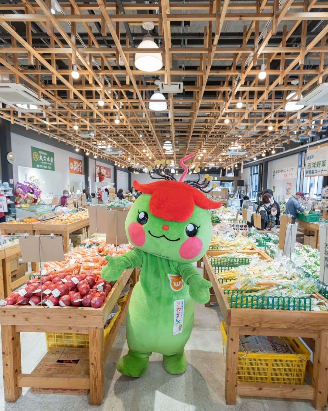 おきなわLikesさんのインスタグラム写真 - (おきなわLikesInstagram)「県民のみなさんに新施設情報 in 西原町✨  県民のみなさーん、西原町の魅力がつまった新施設 #西原さわふじマルシェ にはもう行きましたかー😊？  ここは農水産物の直売所があったり 西原町の観光・文化を発信する複合施設です🥕🐟✨  この施設にある #うんたま市場 などを 西原町観光キャラクター #さわりん に案内していただきました✨(かわいぃな!!)  まずは地産地消をテーマの新鮮な野菜がある #うんたま市場 を中心に、 沖縄近海の生マグロや県産の いまいゆ(今旬の魚)がある #丸六水産、 美味しい弁当がある #げん家、 新鮮で上質な精肉がある #上原ミート など 個性豊かなお店が並んでましたよー😊  #西原さわふじマルシェ には他にも 色んな魅力的なお店があるので ぜひ一度みなさんも足を運んでみてくださいね〜😊！！ _______________________________________________________ 【施設情報】西原さわふじマルシェ ［住所］沖縄県中頭郡西原町小波津４８０ ［営業時間］09:00-19:00 _______________________________________________________ #西原さわふじマルシェ #さわりん #西原町 #本島南部 #おきなわLikes #japan #okinawa #沖縄」2月11日 19時02分 - okinawa_likes