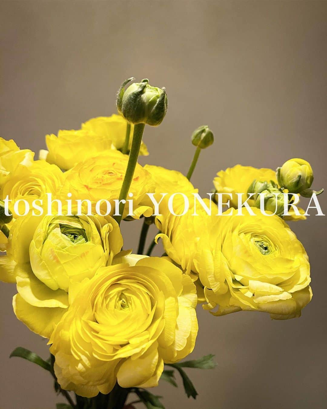 米倉利紀さんのインスタグラム写真 - (米倉利紀Instagram)「flowers of this week #男花 #花のある生活」2月11日 19時06分 - toshi_yonekura