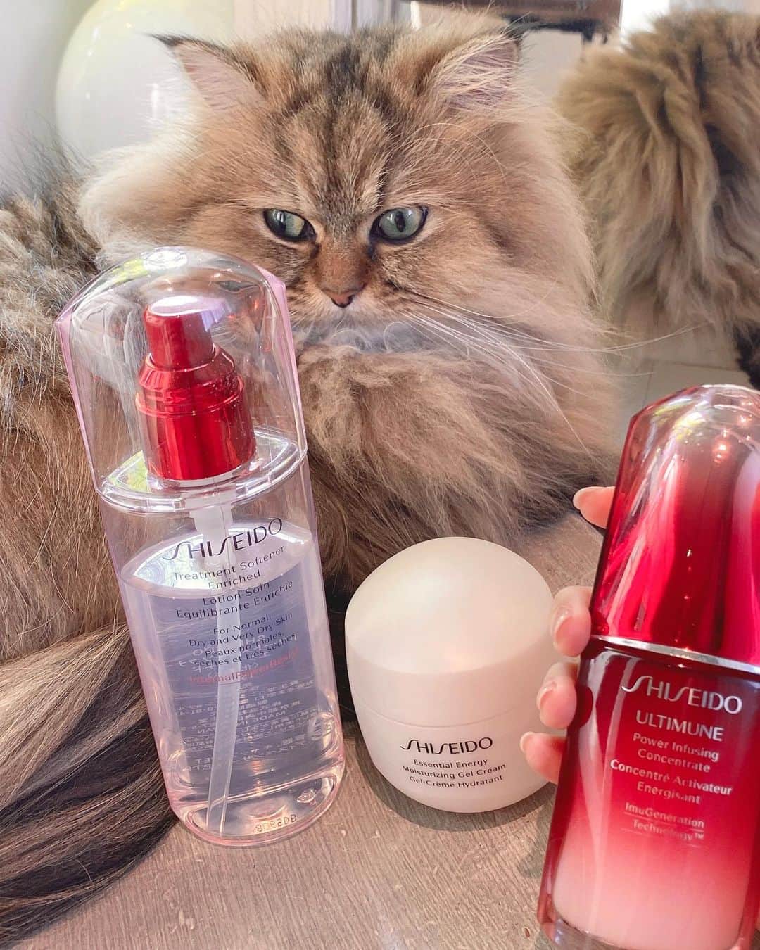 粟津麻依さんのインスタグラム写真 - (粟津麻依Instagram)「最近のスキンケア。 ２週間ほど前からSHISEIDOの美容液、アルティミューンを使っています。  季節の変わり目は肌が揺らいでしまうので事前に準備をしたくて！  使い続けての効果を期待して、これから使っていくよ～  #PR  #ShiseidoGinzaTokyo  #アルティミューン」2月11日 19時17分 - awatsumai