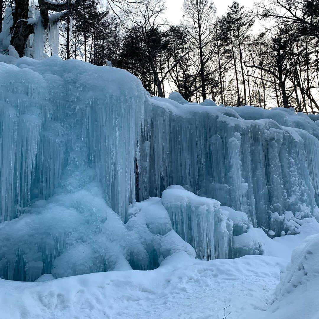 飛騨高山 旅館あすなろさんのインスタグラム写真 - (飛騨高山 旅館あすなろInstagram)「.  久々野観光で高山お出かけ支援を利用した氷点下の森のライトアップツアー へ行ってきました。  普通なら往復一人３０００円位するバス代が、高山お出かけ支援制度のお陰で一人５００円で行けました。  今月は１４日のツアーの催行は確定で、他の日も運行されるそうです。（日にちは要確認） 中山駐車場15:30頃を出発し、19:30に駐車場へ帰ってきました。 約4時間のツアーでした！  夜の雪道の運転が苦手の為、今まで氷点下の森へ行けませんでしたが、バスなら安心して行けます！  2月28日まで氷点下の森ライトアップは毎日開催されています。高山市内で非日常の雰囲気を感じることができます。 カフェの店主のこだわりラーメンもお勧めです！  久々野観光のバスツアーで是非お出かけしてみてください😊  #日本　#岐阜県　#高山　#旅館　#朝日村　＃氷点下の森　#久々野観光  #飛騨高山観光　#高山観光　#温泉旅館　#女子旅　#古い街並み　#instagramjapan  #japan #gifu #takayama #hidatakayama #onsen #asunaro #ryokan #ryokanasunaro #kaiseki #travel #travelgram #instatravel #japantrip #japantravel #followｍe」2月11日 20時14分 - ryokanasunaro