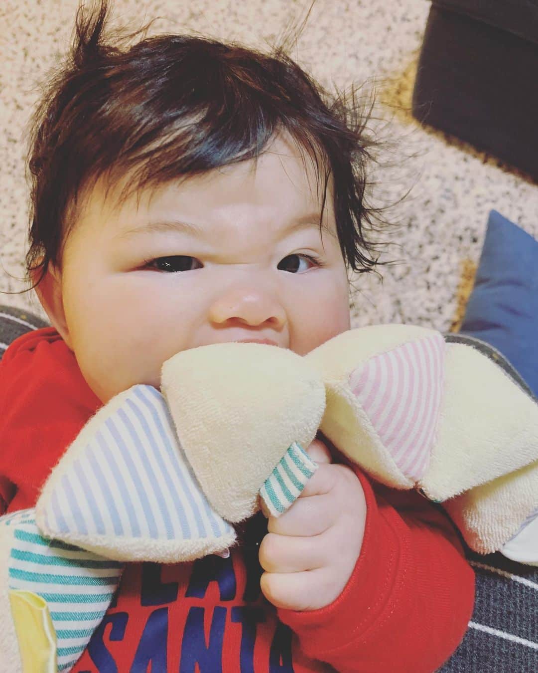 エリナ シルカのインスタグラム：「rawr 😬 この顔大好きすぎる😂 真剣に、カプッ！」