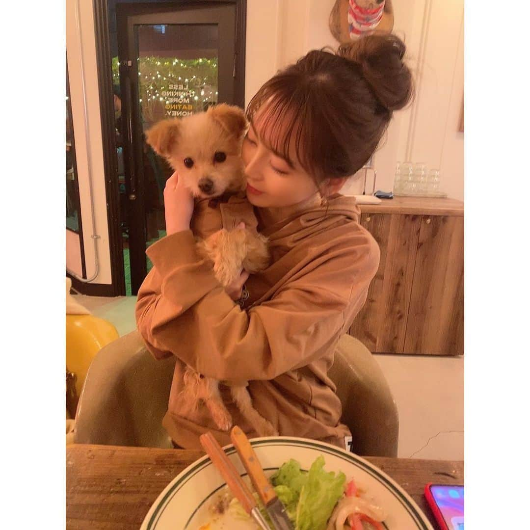 堀尾実咲さんのインスタグラム写真 - (堀尾実咲Instagram)「かぞく👩🐻🐰  #愛犬 #ロイ #ロア #ポメプー #チワワ #cafe #cafestagram #カフェ #カフェスタグラム #カフェ巡り #犬okカフェ #犬okのお店 #ペアルック #犬ペアルック」2月11日 20時51分 - misaki.horio