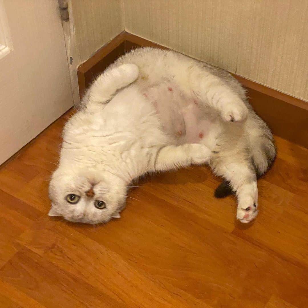 のインスタグラム：「ต๊ะเอ๋ #ตาหวานคนสวย」