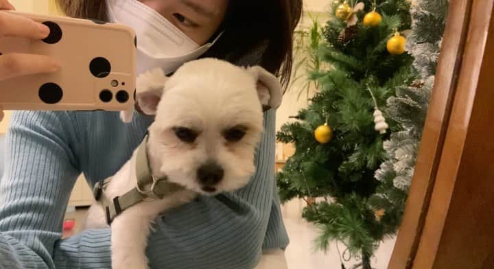 イ・ハウンのインスタグラム：「con 뽁」