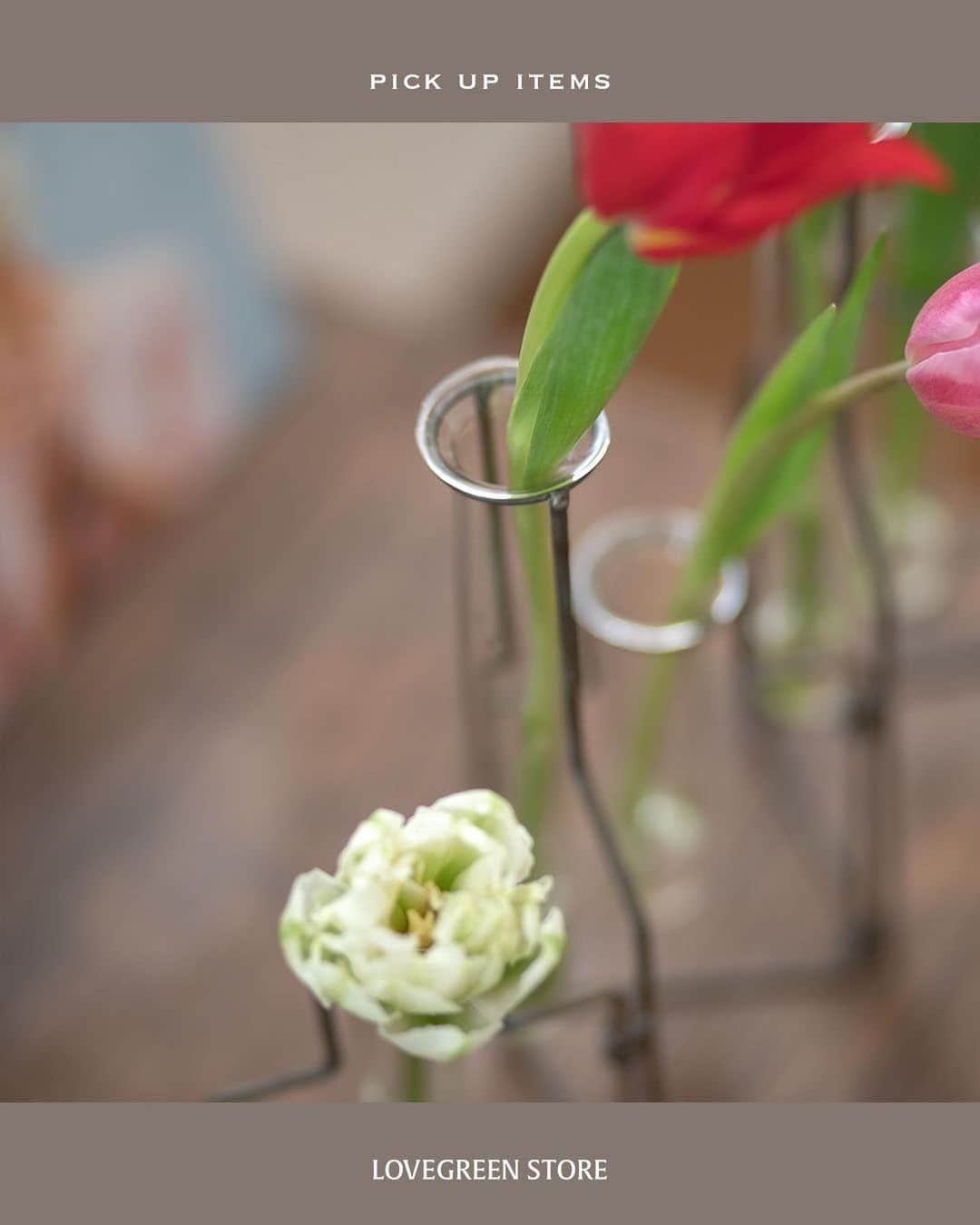 LOVEGREEN -植物と暮らしを豊かに。さんのインスタグラム写真 - (LOVEGREEN -植物と暮らしを豊かに。Instagram)「【スタブルワイヤー フラワーベース】  ワイヤーと試験管でできた花瓶が５つ連なったインダストリアルなデザイン。 お花を一層引き立て、部屋にさっと飾ることができます。     一輪ずつ自分だけの好きな組み合わせで飾ってみましょう。 全部違う種類でも、全部同じ種類でも。感覚的に生けるだけで様になりますよ♪   連結部分は動かすことができるので、花瓶自体の形も置く場所によって変えることができます。 玄関においてみたり、棚の上においてみたり。 ワイヤーとガラスでできているので、抜け感があって圧迫感がないので、どこにおいても違和感なく調和します。   ガラス部分は取り外せるので、生花を飾るときの水替えもかんたんです。  ゴールドは明るいゴールド。 花を生けずにおいても、それだけで華やかになるほどインテリアとして完成されています。 チューリップやスイートピーなど、春のお花を生けると華やかさがさらにまして、お部屋の雰囲気を一気に明るくしてくれます。  マットは無塗装加工によるヴィンテージな風合いを楽しめます。 こちらはバラなどクラシックなお花との相性バッチリです。 ミモザやユーカリ、かすみ草などのドライフラワーを生けるのもおすすめです。  ゴールドとマット あなたはどちらで花を飾りますか？  プロフィールのリンクからも、お値段やサイズなど詳しい情報がご覧いただけます。 → @lovegreen_official」2月11日 21時00分 - lovegreen_official