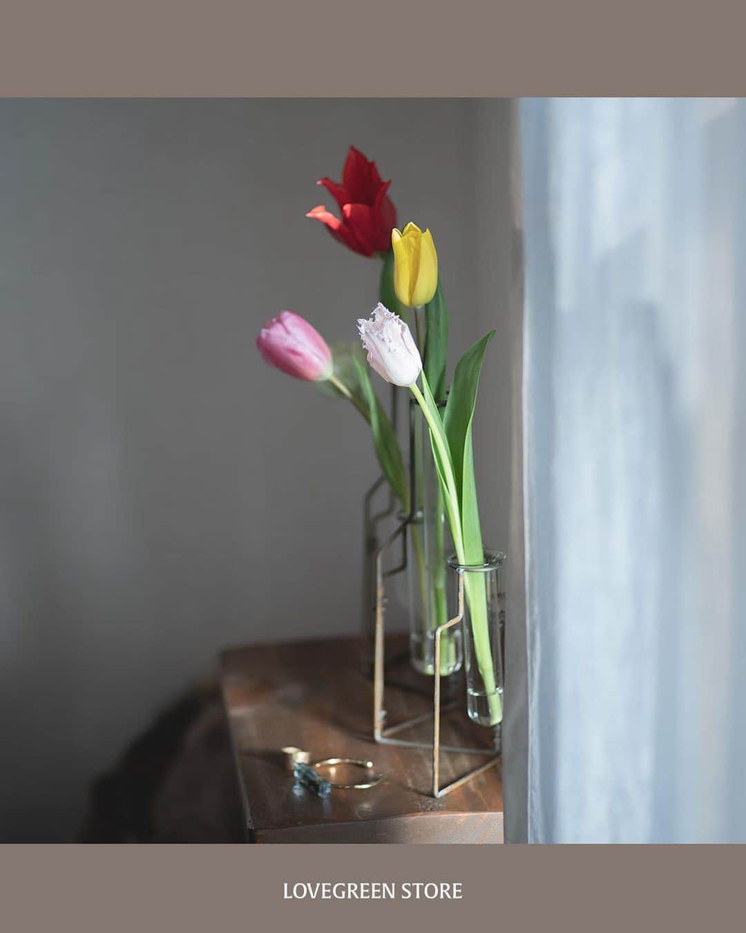 LOVEGREEN -植物と暮らしを豊かに。さんのインスタグラム写真 - (LOVEGREEN -植物と暮らしを豊かに。Instagram)「【スタブルワイヤー フラワーベース】  ワイヤーと試験管でできた花瓶が５つ連なったインダストリアルなデザイン。 お花を一層引き立て、部屋にさっと飾ることができます。     一輪ずつ自分だけの好きな組み合わせで飾ってみましょう。 全部違う種類でも、全部同じ種類でも。感覚的に生けるだけで様になりますよ♪   連結部分は動かすことができるので、花瓶自体の形も置く場所によって変えることができます。 玄関においてみたり、棚の上においてみたり。 ワイヤーとガラスでできているので、抜け感があって圧迫感がないので、どこにおいても違和感なく調和します。   ガラス部分は取り外せるので、生花を飾るときの水替えもかんたんです。  ゴールドは明るいゴールド。 花を生けずにおいても、それだけで華やかになるほどインテリアとして完成されています。 チューリップやスイートピーなど、春のお花を生けると華やかさがさらにまして、お部屋の雰囲気を一気に明るくしてくれます。  マットは無塗装加工によるヴィンテージな風合いを楽しめます。 こちらはバラなどクラシックなお花との相性バッチリです。 ミモザやユーカリ、かすみ草などのドライフラワーを生けるのもおすすめです。  ゴールドとマット あなたはどちらで花を飾りますか？  プロフィールのリンクからも、お値段やサイズなど詳しい情報がご覧いただけます。 → @lovegreen_official」2月11日 21時00分 - lovegreen_official