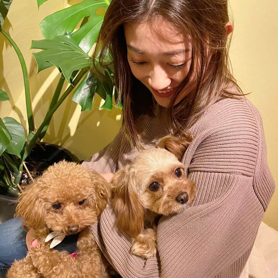 原幹恵さんのインスタグラム写真 - (原幹恵Instagram)「大人しくて二匹ともいい子 🐶🐶🐶  #dog #mix犬 #キャバプー #プーリア #プードル #犬まみれ」2月11日 21時01分 - mikie_hara.official