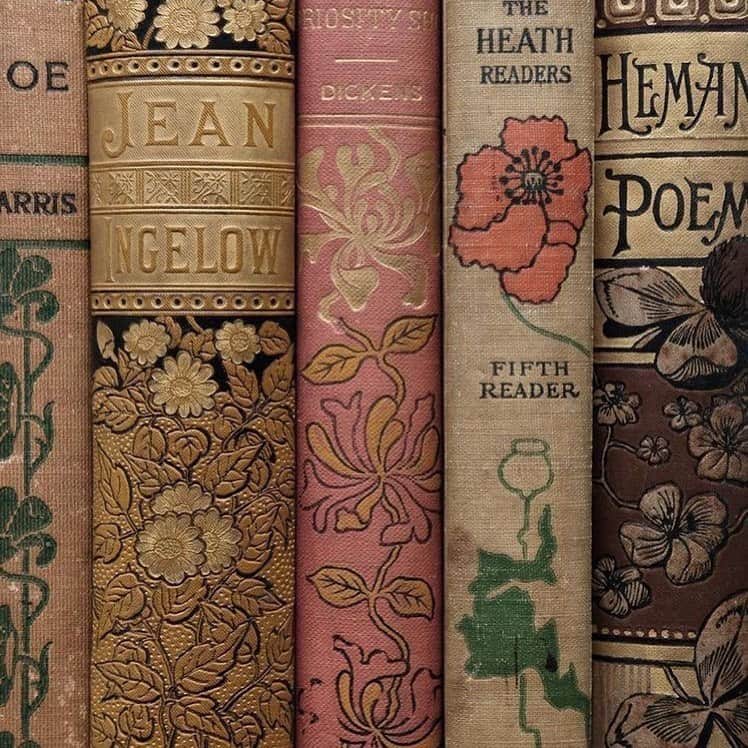 ソフィアのインスタグラム：「📖」